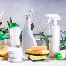 Commercial Cleaning With Green Seal Certified Products