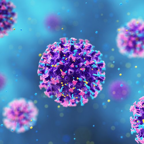Preventing Hantavirus With Proper Office Cleaning