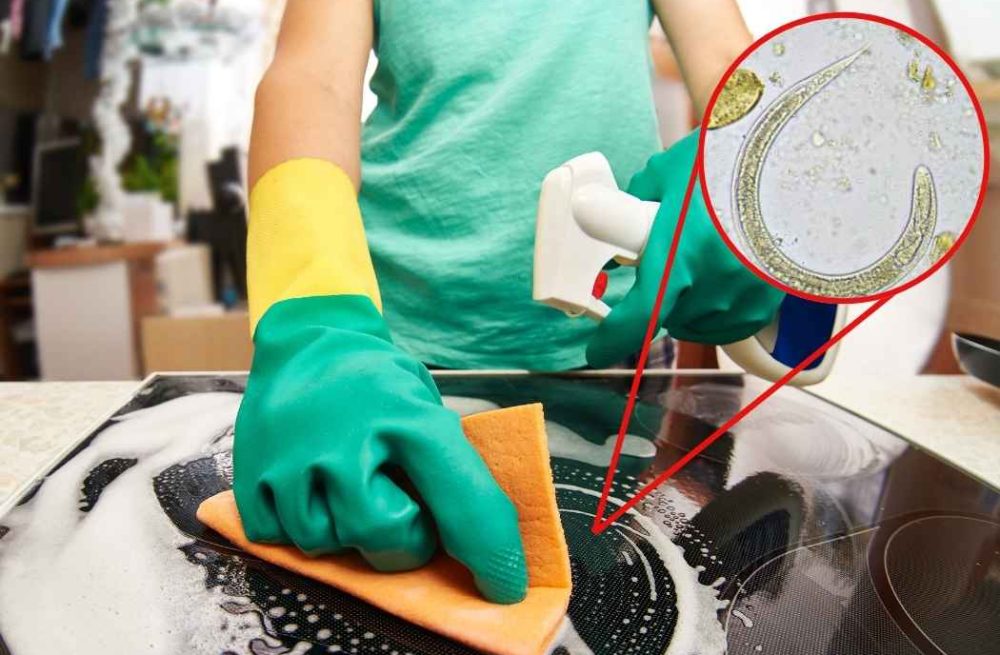 Preventing Diarrhea Parasites with Proper Cleaning